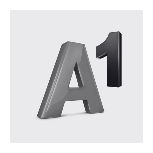 A1